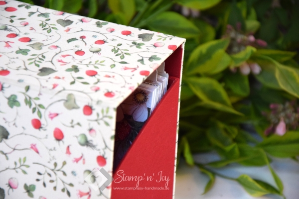 Rezeptbox DIN A5-Querformat ca. 23x10x17cm | Erdbeertraum | rot weiß | Art. Nr. 97040201